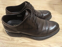 VOLO犀牛德比鞋男士商務(wù)正裝皮鞋軟底西裝皮鞋結婚新郎鞋 棕色 41 曬單實(shí)拍圖