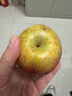 京喜加正宗25年新果云南昭通冰糖心丑蘋(píng)果當季水果現摘脆甜野生富士蘋(píng)果 整箱6斤小果【果徑60-70】適合寶寶 曬單實(shí)拍圖