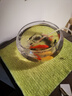 智宙魚(yú)缸生態(tài)缸中小圓形玻璃魚(yú)缸加厚斗魚(yú)缸金魚(yú)缸懶人客廳桌面魚(yú)缸 20*15*10cm玻璃魚(yú)缸 曬單實(shí)拍圖