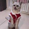 阿莫爾2026新款小狗狗新年衣服冬裝寵物比熊泰迪過(guò)年喜棉襖冬季博美加厚 紅色金幣唐裝 L（建議8-10斤 參考胸圍背長(cháng)） 曬單實(shí)拍圖