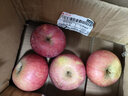 山東煙臺紅富士蘋(píng)果當季新鮮水果正宗冰糖心棲霞平果整箱包郵禮盒 帶箱5斤（75-80mm） 曬單實(shí)拍圖