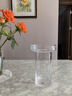 KOSTA BODA瑞典進(jìn)口水晶玻璃創(chuàng  )意花瓶輕奢高級感北歐式簡(jiǎn)約花瓶擺件客廳插花 花瓶(透明)-150cl-1只裝 曬單實(shí)拍圖