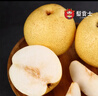 香凝山西隰縣蜂蜜梨甜酥梨 新鮮水果 4斤品嘗裝（中小果隨機發(fā)，有瑕疵 曬單實(shí)拍圖