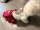 阿莫爾貓咪衣服冬季加絨馬面裙新年喜慶中國風(fēng)保暖加厚唐裝小型犬新中式 唐裝馬面裙 S【建議3-5斤 參考胸圍背長(cháng)】 曬單實(shí)拍圖