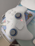 飛智冰原狼4/冰原狼3藍牙無(wú)線(xiàn)手柄DW類(lèi)xbox游戲手柄switch2手柄steam手機手柄 絲之歌三角洲寶可夢(mèng)za 【爆款新品】冰原狼4多模板 曬單實(shí)拍圖