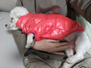SLPC小狗衣服泰迪衣服冬季保暖比熊博美小型犬狗狗衣服棉服寵物棉衣 紅色 L（建議7-10斤） 曬單實(shí)拍圖