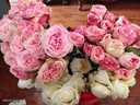 芊芊細語(yǔ)斗南基地直批發(fā)玫瑰鮮花全國速遞配送女友禮物家用水養插花家庭 60支隨機玫瑰 曬單實(shí)拍圖