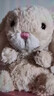 Jellycat米色甜美小兔小短腿公仔動(dòng)物毛絨玩偶娃娃生日情人節禮物 甜美小兔 One Size 曬單實(shí)拍圖