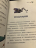 奇奇怪航天俠 群星之外 太空螳螂 星際奇旅 云端世界星辰大海少兒科幻名家系列黑龍江少年兒童出版社正版現貨3-6年級適讀 星際奇旅 曬單實(shí)拍圖