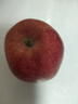 甘肅天水花牛蘋(píng)果粉面香甜蘋(píng)果產(chǎn)地直發(fā)新鮮水果包郵 帶箱5.5斤凈重4.5斤小果70-75mm 曬單實(shí)拍圖
