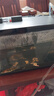 小米適配一代魚(yú)缸背景板貼紙 裝飾畫(huà)亞克力高清卡通3D安裝簡(jiǎn)單 光照海底生物*1 曬單實(shí)拍圖