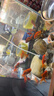寵小俠精品金魚(yú)觀(guān)賞魚(yú)鴻運當頭金魚(yú)活體魚(yú)缸小魚(yú)冷水魚(yú)招財魚(yú)蘭壽丹頂紅 混搭金魚(yú)12條【包活10條】5-7cm 曬單實(shí)拍圖