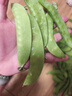 云南新鮮現摘蔬菜豌豆角甜脆荷蘭豆四季豆當季農家自種蔬菜脆嫩 荷蘭豆4斤帶箱 曬單實(shí)拍圖