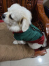 亞禾狗狗衣服冬天保暖馬甲外套柴犬杜賓中大型犬加厚可牽引狗棉服戶(hù)外 復古墨綠色拼色 XL碼（建議體重11-14斤） 曬單實(shí)拍圖