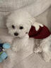 湯尼熊狗狗衣服秋冬無(wú)袖保暖毛衣雪納瑞泰迪比熊保暖背心小型犬貓衣服 保暖加厚毛衣【紅色-單耳小狗】 XS丨背長(cháng)22胸圍33建議2-3斤 曬單實(shí)拍圖