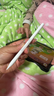 倍思電容筆iPad觸控筆【2025升級】適用25年iPad Pro/Air/Mini/iPad11平板觸屏手寫(xiě)筆Applepencil二代 曬單實(shí)拍圖