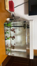 最萌魚(yú)缸新款家用小型觀(guān)賞魚(yú)魚(yú)缸三合一節能水泵過(guò)濾制氧一體機烏龜缸 50X30X35（帶蓋豪華套餐） 曬單實(shí)拍圖