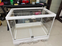 達洋兔籠R81PRO豪華兔籠透明玻璃兔子籠室內家用大號專(zhuān)用觀(guān)賞兔籠 R81PRO 豪華籠子（白色） 曬單實(shí)拍圖