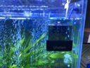 徹朗魚(yú)缸溫度計高精度魚(yú)缸溫度顯示器外貼溫度計 峰值版【贈送電池一塊】 曬單實(shí)拍圖