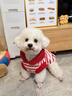 秋冬新年可愛(ài)貓咪衣服冬季紅色過(guò)年布偶英短幼貓保暖連帽加絨背心 1040紅色條紋（帽子有球） S碼：推薦4-5斤 曬單實(shí)拍圖