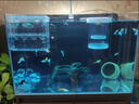 過(guò)凡（GUOFAN）魚(yú)缸隔離盒透明亞克力孵化盒孔雀魚(yú)繁殖盒迷你鸚鵡小魚(yú)苗繁殖箱子 曬單實(shí)拍圖