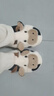 細細條（XIXITIAO）情侶可愛(ài)小奶牛棉拖鞋秋冬季男女士居家親子保暖毛毛拖鞋 全包跟款白色 36-37（適合35-36的腳） 曬單實(shí)拍圖