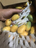 顧果鮮海南小臺農芒果小臺芒新鮮當季熱帶孕婦水果現摘甜心小芒果生鮮 9斤凈重8.5斤 【中果裝】 曬單實(shí)拍圖