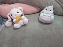 迪普爾 暖手寶充電暖寶寶可愛(ài)暖腳寶熱水袋暖手袋暖水袋防爆保暖 暖手暖腳蘿卜兔套裝（拆洗布套） 曬單實(shí)拍圖