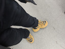 卡帝樂(lè )鱷魚(yú)隱形內增高10cm高幫厚底男鞋2025新款運動(dòng)休閑高級感潮牌老爹鞋 黃色【隱形內增高10cm】 40 運動(dòng)鞋碼 曬單實(shí)拍圖