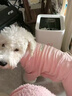 湯尼熊 TAWNEYBEAR小狗狗打底衫冬季德絨寵物泰迪比熊雪納瑞冬季保暖秋冬款四腳衣服 四腳保暖衣【粉色】 S丨背長(cháng)25胸圍37建議3-5斤 曬單實(shí)拍圖