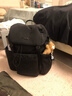 FILA斐樂(lè )情侶款男士女士背包夏季新品毛絨小熊雙肩包書(shū)包電腦包 正黑色-BK XS 曬單實(shí)拍圖