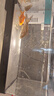 Barbarous Growth魚(yú)缸小型免換水家用缸客廳水族箱金魚(yú)缸制氧過(guò)濾生態(tài)桌面塑料透明 中號【豪華套餐】 黑色 曬單實(shí)拍圖