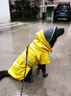優(yōu)觀(guān)寵物狗金毛拉布拉多中大型犬狗狗雨衣斗篷雨衣防水狗雨披 升級拉煉雨衣--黃色 2XL碼(體重參照20-28斤) 曬單實(shí)拍圖