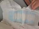 babycare一整夜Pro紙尿褲新生嬰兒寶寶lala褲夜用大吸量透氣尿不濕bbc尿褲 夜用紙尿褲-M碼50片（6-11kg) 曬單實(shí)拍圖