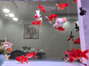 森森（SUNSUN）新款超白玻璃魚(yú)缸客廳大型底過(guò)濾生態(tài)水族箱家用龍魚(yú)缸【包安裝】 隔斷超白 升級底濾 1.5米42寬（三色可選） 曬單實(shí)拍圖