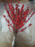 精品進(jìn)口北美冬青鮮切枝水培植物鮮花束紅果水養室內年宵花卉真花 北美冬青鮮切枝高40-45cm《5支》 曬單實(shí)拍圖