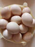 憶鄉嶺雞蛋 散養谷物蛋 農家山林喂養 初生鮮土雞蛋 12枚裝單枚40±5g 曬單實(shí)拍圖