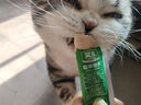 笑寵貓草排毛貓條100支批發(fā)化毛排毛貓零食貓咪貓罐頭寵物濕糧15g*100 曬單實(shí)拍圖