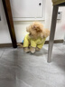 MIKI PAD狗狗衣服秋冬季狗狗羽絨服保暖四腳寵物棉服新款小型幼犬加絨加厚 【云朵輕棉服】黃/可牽引 M胸圍37cm（按照胸圍購買(mǎi)/參考體重4-6斤） 曬單實(shí)拍圖
