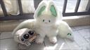 奧趣牛女生喜歡的小玩意生日禮物女生送閨蜜朋友給女孩子的實(shí)用兒童玩偶 微笑蝙蝠大白兔 曬單實(shí)拍圖