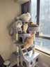 華元寵具（hoopet）貓爬架超大型貓窩貓樹(shù)一體特大號貓爬柱貓架子貓咪玩具用品貓抓板 曬單實(shí)拍圖