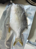特大號深海金鯧魚(yú)新鮮鮮活速凍海魚(yú)海鮮魚(yú)類(lèi)【含25%左右冰衣】 5條（1斤-1.2斤/條） 曬單實(shí)拍圖