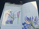 預訂 The Botanical Shoes: A Collection of Botanical Shoe Paintings in Watercolour and Words: 978180 曬單實(shí)拍圖