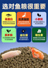 海豚蝴蝶鯉專(zhuān)用飼料1kg顆粒約3mm下沉型 煥白靚鱗 蝴蝶鯉魚(yú)糧沉底魚(yú)食 曬單實(shí)拍圖