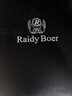Raidy Boer/雷迪波爾男裝時(shí)尚秋冬燙鉆虎頭綿羊毛針織衫毛衣5043 黑色 180/52/XL 曬單實(shí)拍圖