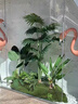 故森仿真綠植造景組合裝飾假植物玻璃櫥窗布置擺設室內景觀(guān)造景氛圍樹(shù) B款-紅葉南天竹+發(fā)財樹(shù)（主圖同款） 曬單實(shí)拍圖
