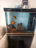 森森（SUNSUN）大型魚(yú)缸底過(guò)濾水族箱客廳家用落地玻璃生態(tài)金魚(yú)缸 【實(shí)時(shí)溫顯+燈控】經(jīng)典黑 0.8米長(cháng)35cm寬 曬單實(shí)拍圖