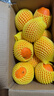 哆莫香美國進(jìn)口黑標橙子新鮮水果當季黑標臍橙 進(jìn)口3107橙子甜橙禮盒 甄選大果10斤【無(wú)禮盒】 曬單實(shí)拍圖