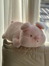 侶隨禮伴原創(chuàng  )抱抱小豬抱枕玩偶女生睡覺(jué)夾腿專(zhuān)用床上側睡毛絨玩具公仔靠枕 抱抱豬 50CM 曬單實(shí)拍圖