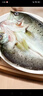 港鮮達三去白蕉開(kāi)背海鱸魚(yú) 無(wú)保水劑免處理速凍刺少肉厚生鮮 開(kāi)背海鱸魚(yú)500-600g*1條（含冰衣15%左右） 曬單實(shí)拍圖